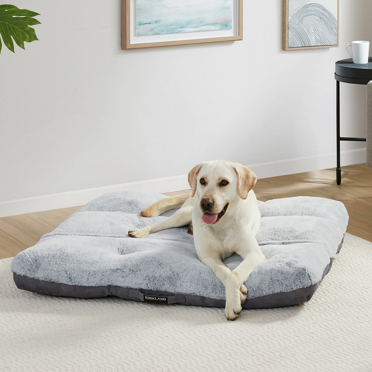 42" X 42" Square Tufted Napper