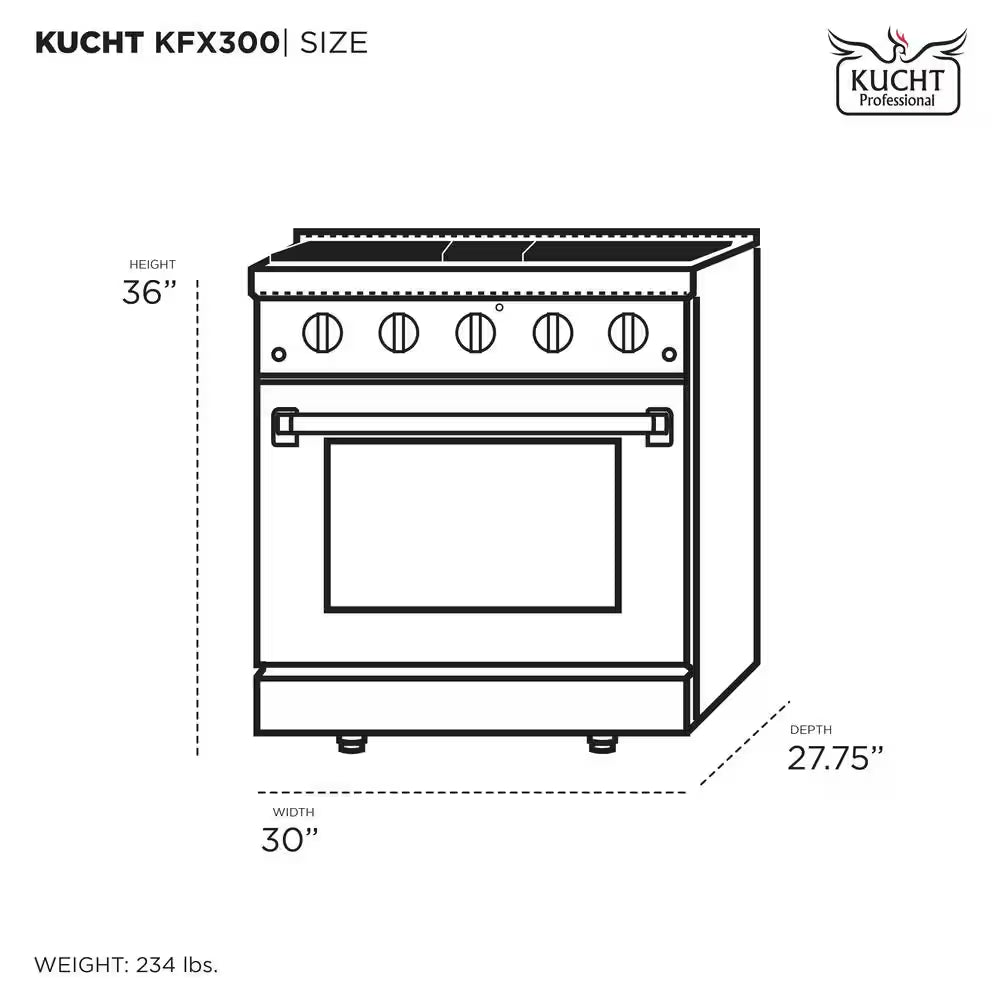 Professional 30 In. 4.2 Cu. Ft. 4 Burners Freestanding Natural Gas Range in Black with Convection Oven