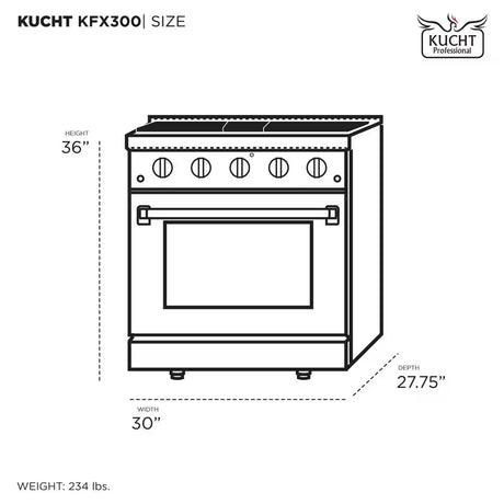 Professional 30 In. 4.2 Cu. Ft. 4 Burners Freestanding Natural Gas Range in Black with Convection Oven