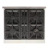 Professional 30 In. 4.2 Cu. Ft. 4 Burners Freestanding Natural Gas Range in Black with Convection Oven