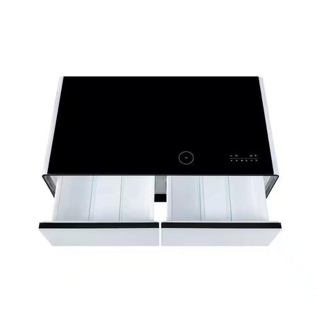 Coffee Table Fridge 27 In. 25 Cu. Ft. Retro Mini Refrigerator in White+Black, Bluetooth Speaker, Wireless Charging